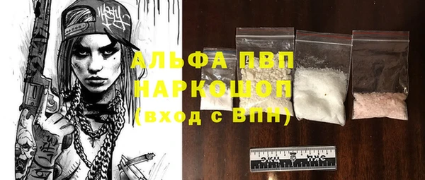 стаф Осташков