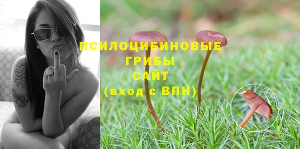 дживик Алексеевка